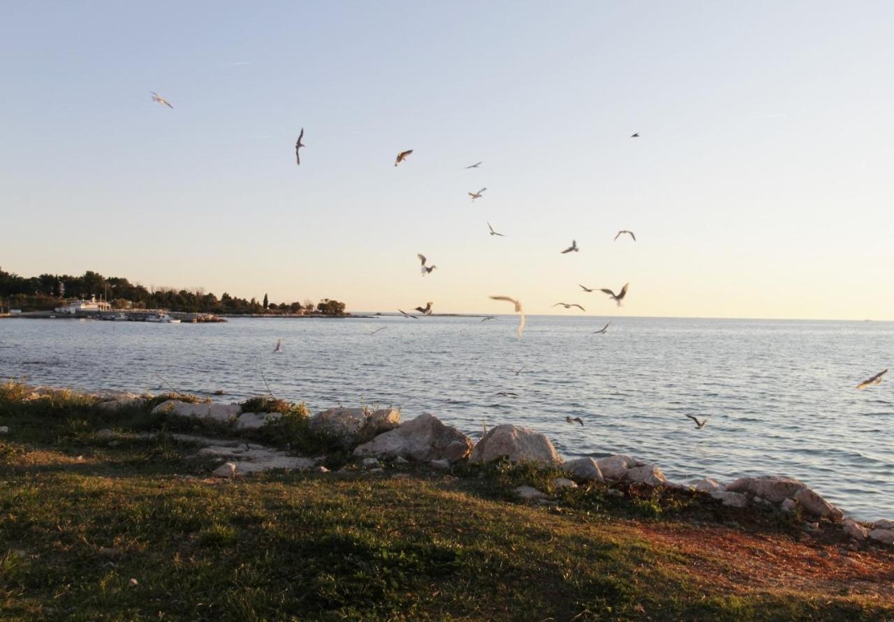 Apartments Zambratija With Sea View מראה חיצוני תמונה